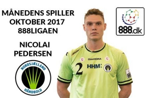 Håndboldspiller, Månedens spiller
