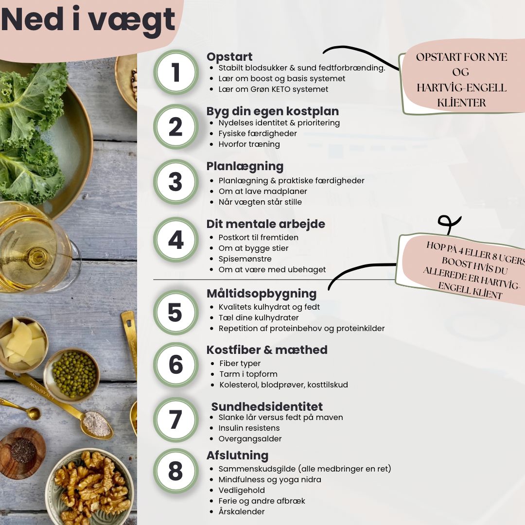 Indholdet af de 8 undervisningsgange